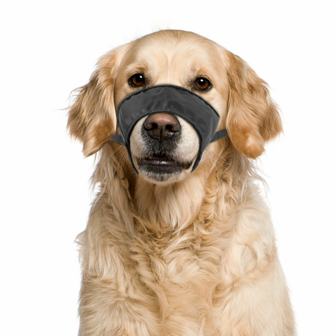 Adjustable Small / Big Dog Barking Mouth Guard Muzzle Par Masters
